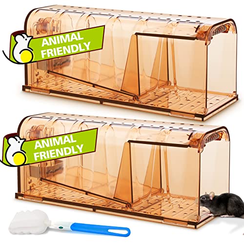 TAKRINK Mausefalle Lebend 2er Set